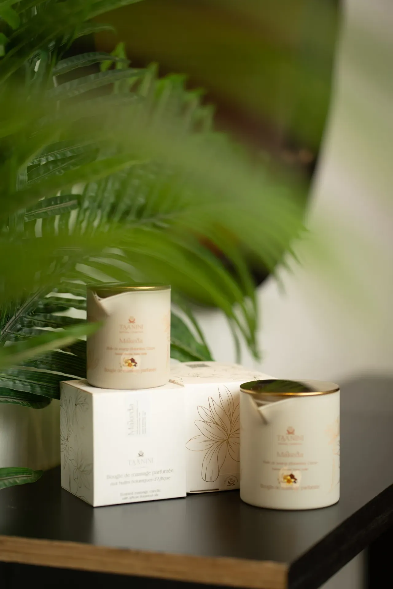 Bougie de massage à l'huile de Balanites  300g